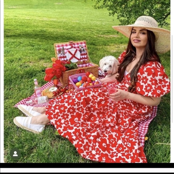 Zara Dresses & Skirts - Zara printed poplin dress